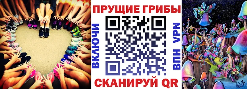 Псилоцибиновые грибы мицелий  гидра   Моздок 