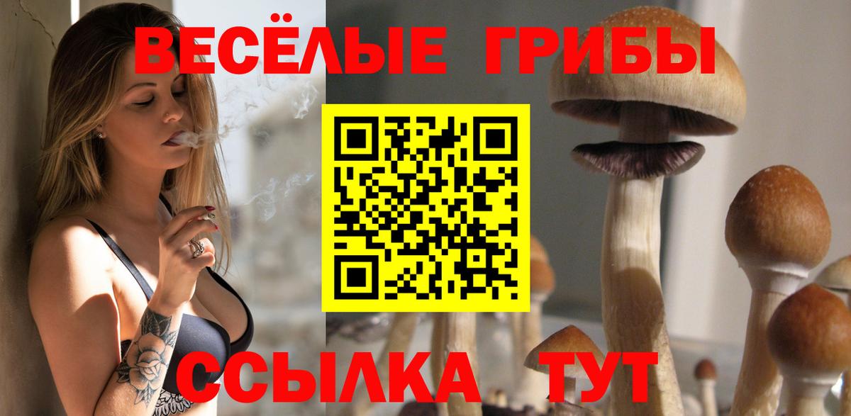 Моздок  Псилоцибиновые грибы Psilocybine cubensis  сколько стоит  Вход с VPN 