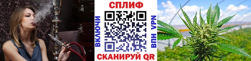 дарнет шоп  Моздок  Бошки марихуана Amnesia 